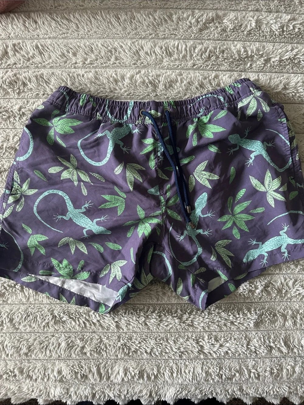Men's Purple Swim Trunks with Green Lizard Print